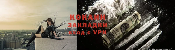 соль ск Арсеньев