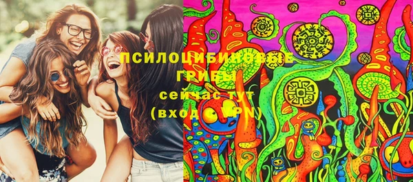 стаф Армянск