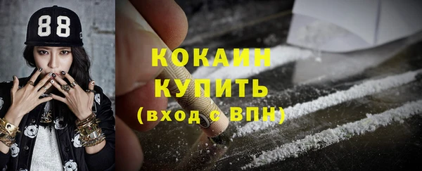 соль ск Арсеньев
